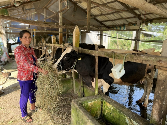 Nỗ lực vượt khó, thoát nghèo của người phụ nữ Khmer