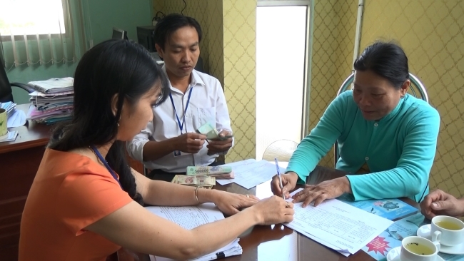 Mỹ Tú hỗ trợ trên 466 triệu đồng cho hộ dân có heo bị tiêu hủy do bệnh dịch tả Châu Phi  