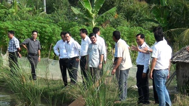 Đồng chí Trần Văn Việt, Bí thư Huyện ủy, Chủ tịch UBND huyện khảo sát những mô hình sản xuất có hiệu quả trên địa bàn huyện