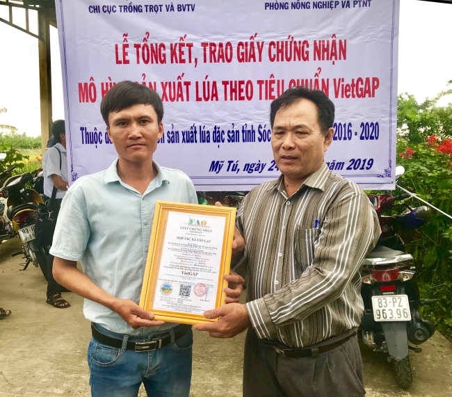 Trao chứng nhận mô hình sản xuất lúa theo tiêu chuẩn VietGAP  cho Hợp tác xã Nông nghiệp Tân Lập