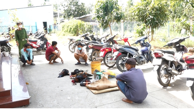 Bắt 4 đối tượng đá gà ăn tiền trái phép